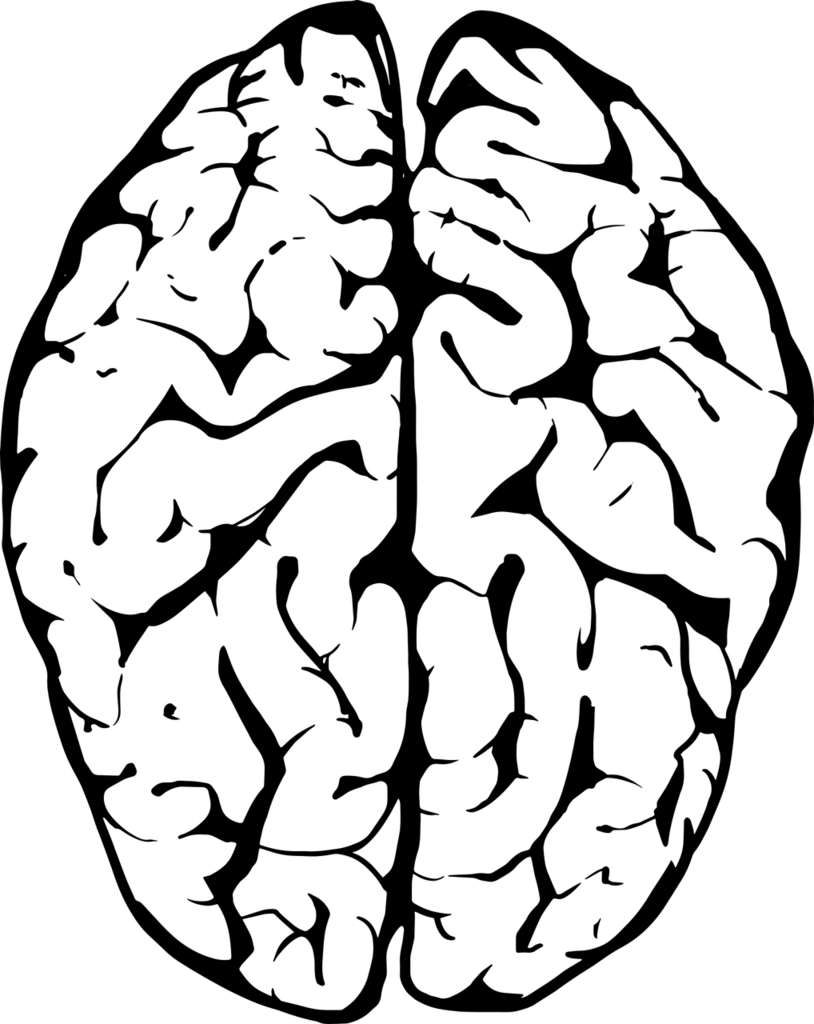 f:id:zionkrm:20180908235145p:plain f:id:zionkrm:20180908235145p:plain
