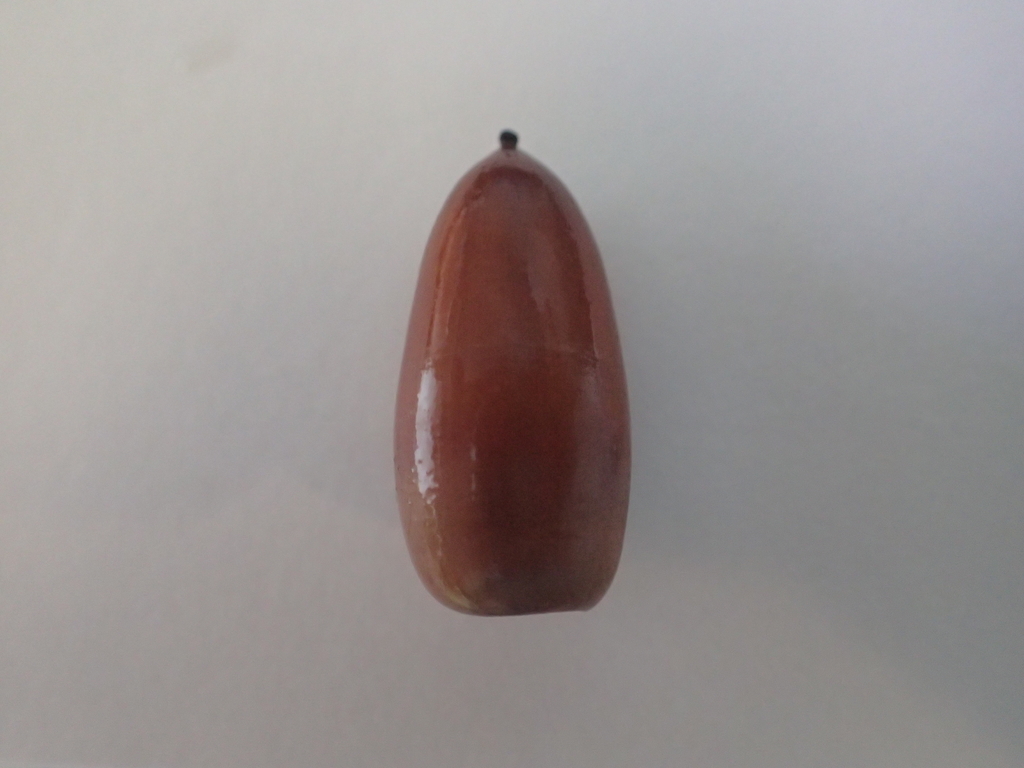 f:id:ziyukenkyu_Lab:20181012230230j:plain f:id:ziyukenkyu_Lab:20181012230230j:plain