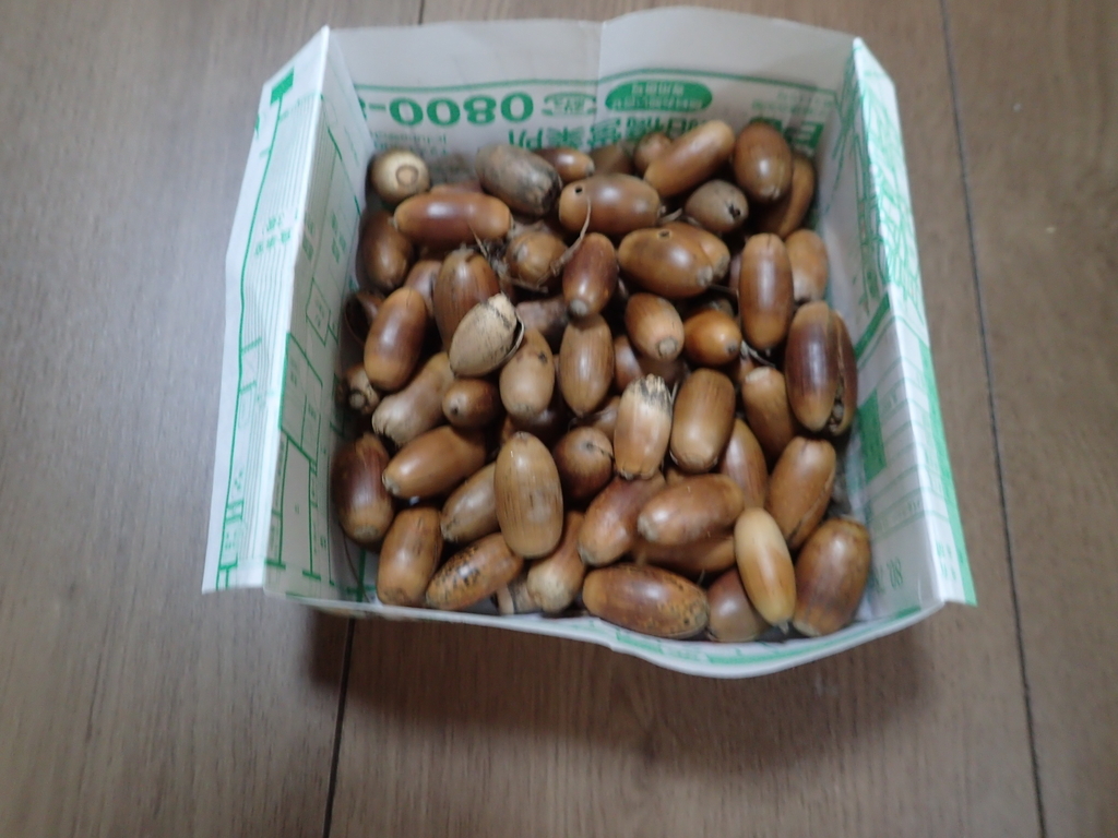 f:id:ziyukenkyu_Lab:20181107142904j:plain f:id:ziyukenkyu_Lab:20181107142904j:plain