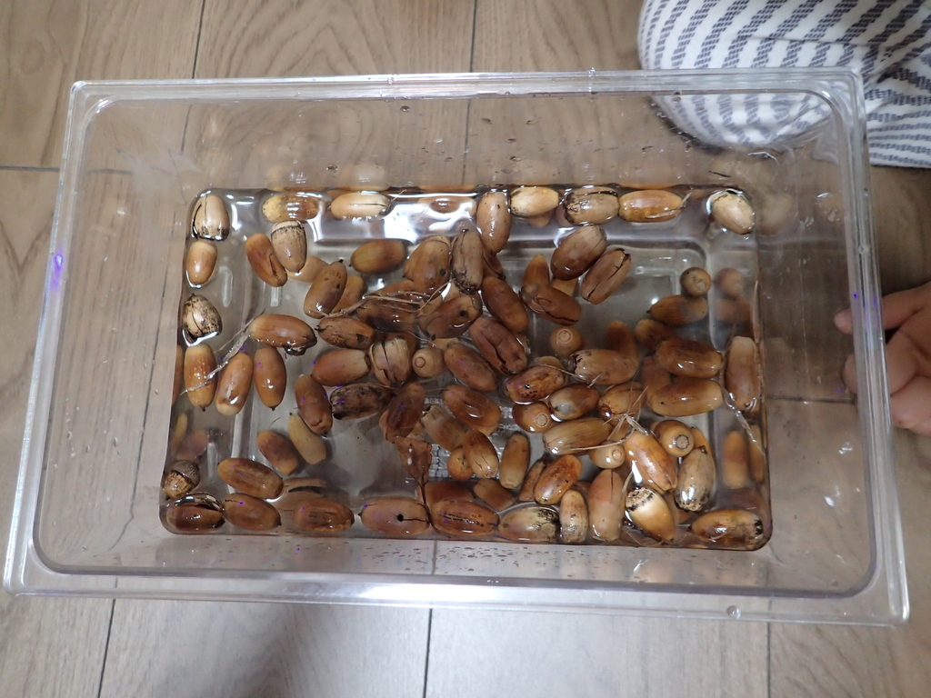 f:id:ziyukenkyu_Lab:20181113131942j:plain f:id:ziyukenkyu_Lab:20181113131942j:plain