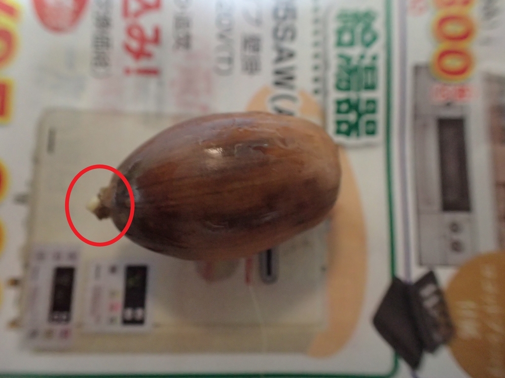 f:id:ziyukenkyu_Lab:20181113133009j:plain f:id:ziyukenkyu_Lab:20181113133009j:plain