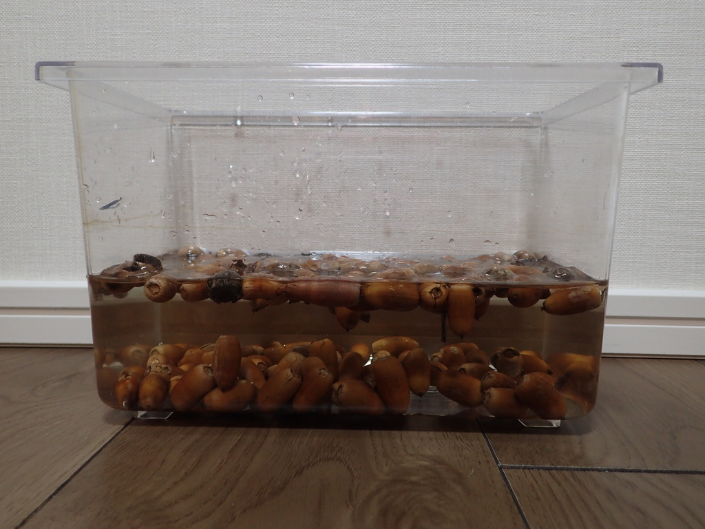 f:id:ziyukenkyu_Lab:20181114115108j:plain f:id:ziyukenkyu_Lab:20181114115108j:plain