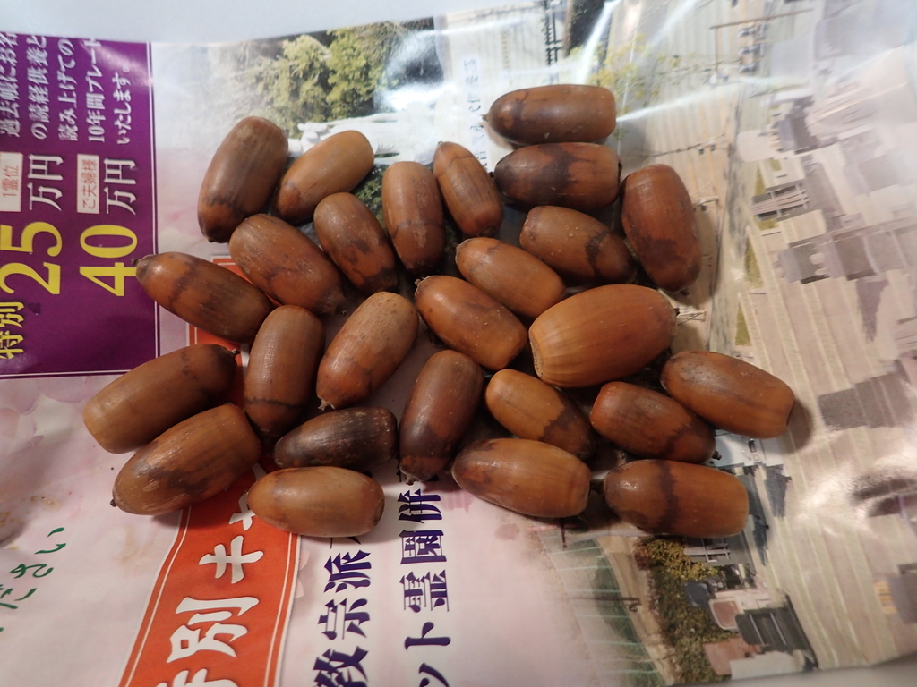f:id:ziyukenkyu_Lab:20181114115738j:plain f:id:ziyukenkyu_Lab:20181114115738j:plain