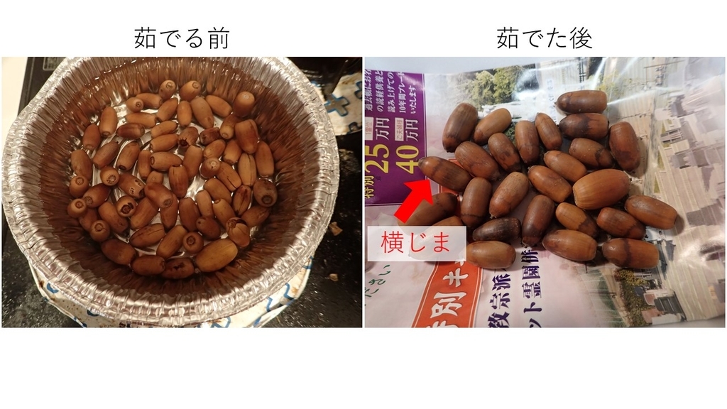 f:id:ziyukenkyu_Lab:20181114142320j:plain f:id:ziyukenkyu_Lab:20181114142320j:plain