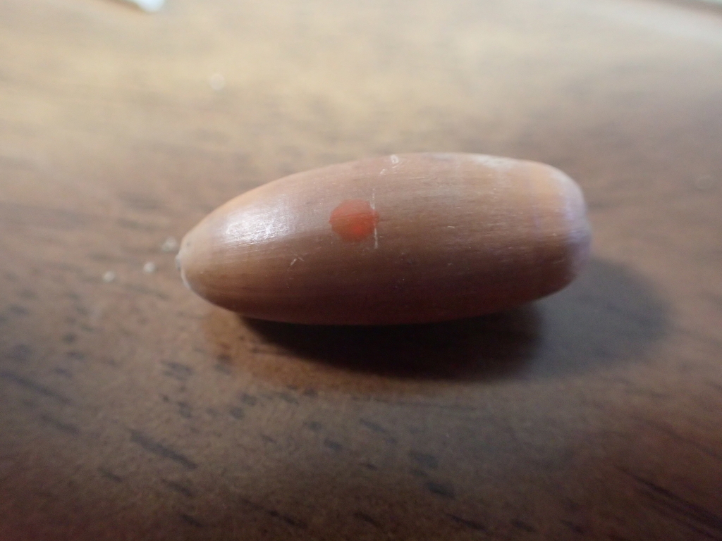 f:id:ziyukenkyu_Lab:20190110103155j:plain f:id:ziyukenkyu_Lab:20190110103155j:plain