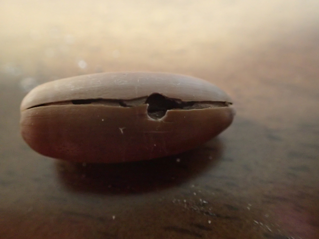 f:id:ziyukenkyu_Lab:20190110103225j:plain f:id:ziyukenkyu_Lab:20190110103225j:plain