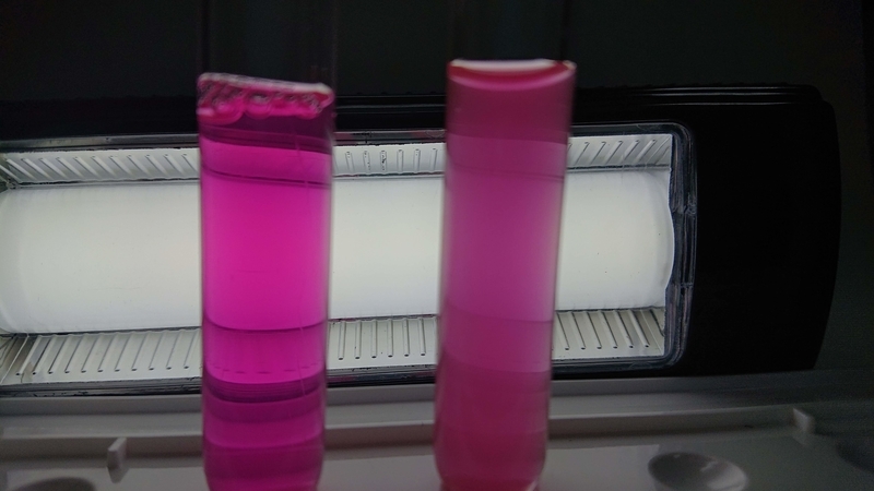 f:id:ziyukenkyu_Lab:20200311155219j:plain f:id:ziyukenkyu_Lab:20200311155219j:plain