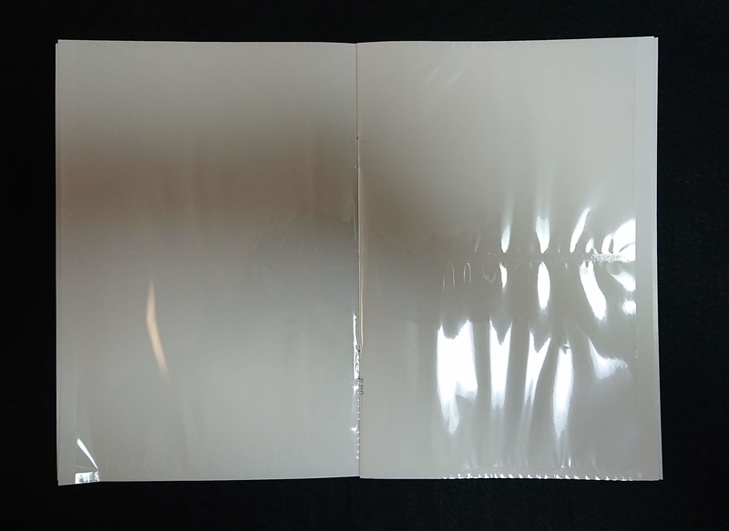 f:id:ziyukenkyu_Lab:20200313094231j:plain f:id:ziyukenkyu_Lab:20200313094231j:plain