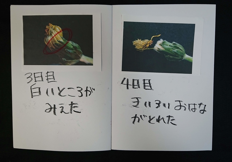 f:id:ziyukenkyu_Lab:20200317094359j:plain f:id:ziyukenkyu_Lab:20200317094359j:plain