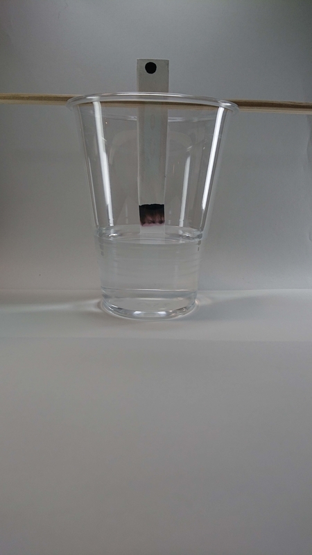 f:id:ziyukenkyu_Lab:20200402144708j:plain f:id:ziyukenkyu_Lab:20200402144708j:plain