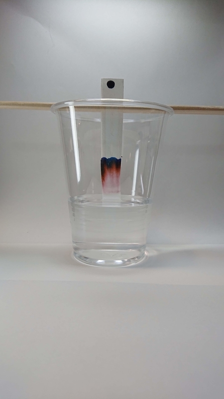 f:id:ziyukenkyu_Lab:20200402144726j:plain f:id:ziyukenkyu_Lab:20200402144726j:plain