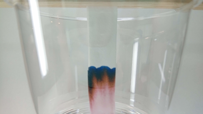 f:id:ziyukenkyu_Lab:20200402144746j:plain f:id:ziyukenkyu_Lab:20200402144746j:plain