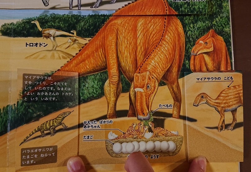 f:id:ziyukenkyu_Lab:20200513101027j:plain f:id:ziyukenkyu_Lab:20200513101027j:plain