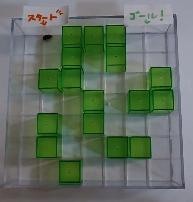 f:id:ziyukenkyu_Lab:20200518142207p:plain f:id:ziyukenkyu_Lab:20200518142207p:plain
