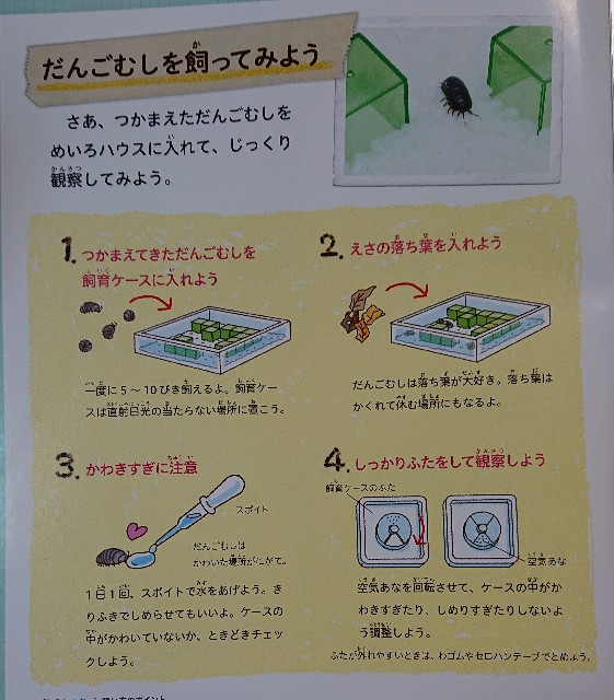 f:id:ziyukenkyu_Lab:20200521172505j:image f:id:ziyukenkyu_Lab:20200521172505j:image