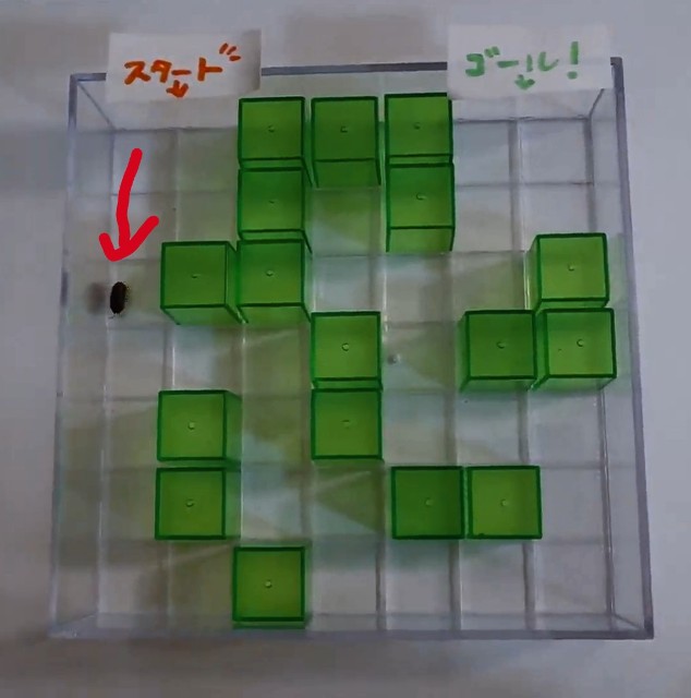 f:id:ziyukenkyu_Lab:20200524070917j:image f:id:ziyukenkyu_Lab:20200524070917j:image