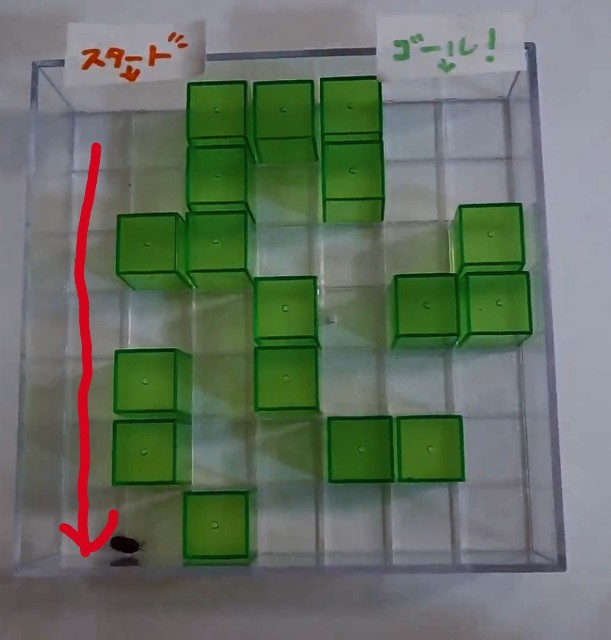 f:id:ziyukenkyu_Lab:20200524070927j:image f:id:ziyukenkyu_Lab:20200524070927j:image