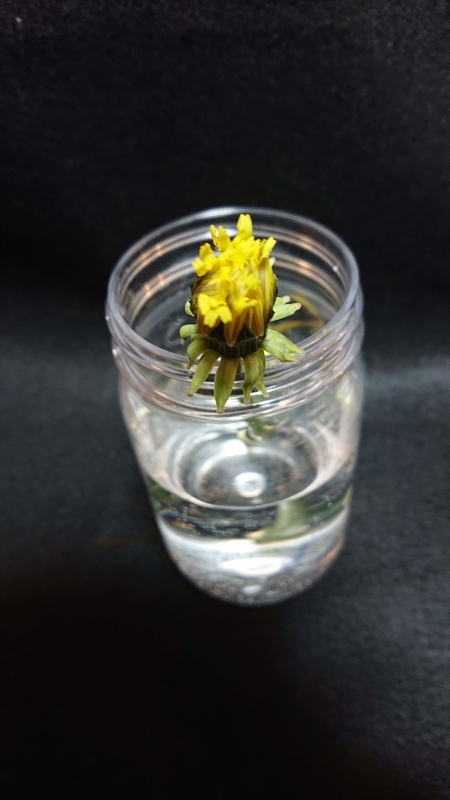 f:id:ziyukenkyu_Lab:20200602121354j:plain f:id:ziyukenkyu_Lab:20200602121354j:plain