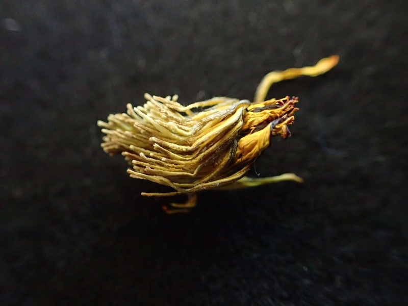 f:id:ziyukenkyu_Lab:20200602121458j:plain f:id:ziyukenkyu_Lab:20200602121458j:plain