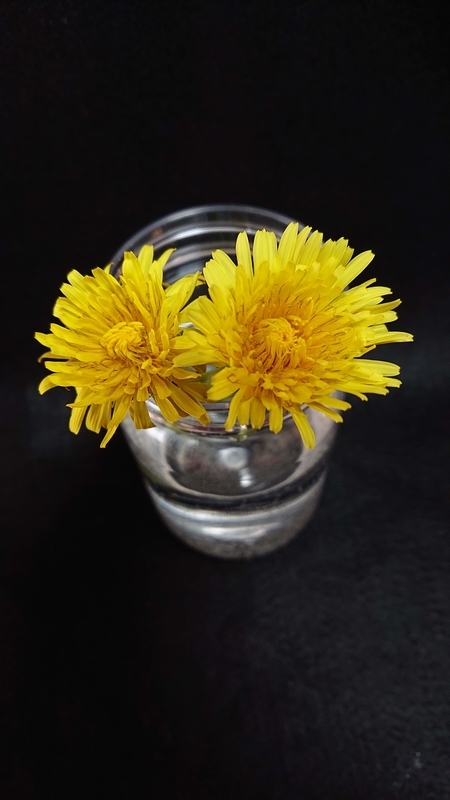 f:id:ziyukenkyu_Lab:20200602121557j:plain f:id:ziyukenkyu_Lab:20200602121557j:plain