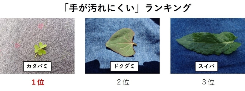 f:id:ziyukenkyu_Lab:20200604153145j:plain f:id:ziyukenkyu_Lab:20200604153145j:plain