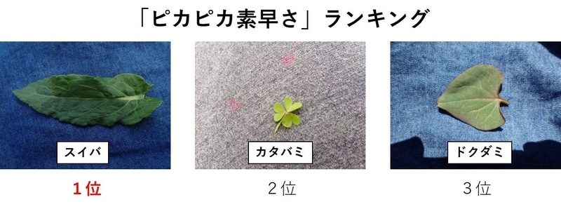 f:id:ziyukenkyu_Lab:20200604153151j:plain f:id:ziyukenkyu_Lab:20200604153151j:plain