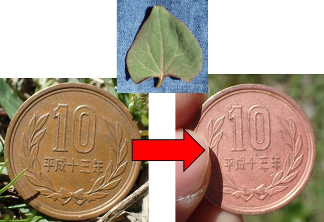 f:id:ziyukenkyu_Lab:20200604153241j:plain f:id:ziyukenkyu_Lab:20200604153241j:plain