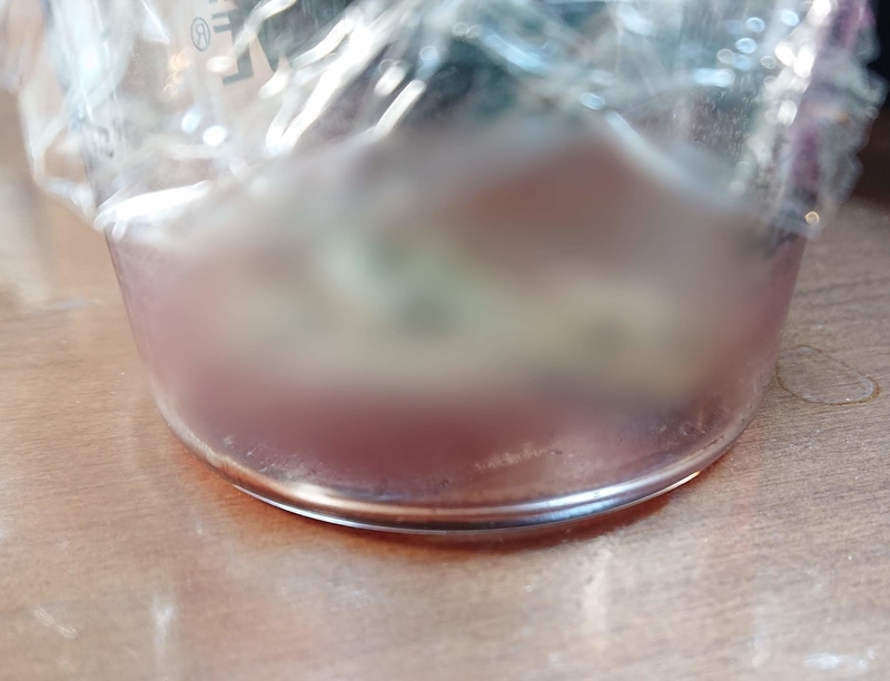 f:id:ziyukenkyu_Lab:20200606100218j:plain f:id:ziyukenkyu_Lab:20200606100218j:plain