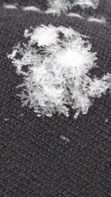f:id:ziyukenkyu_Lab:20200606103647j:plain f:id:ziyukenkyu_Lab:20200606103647j:plain