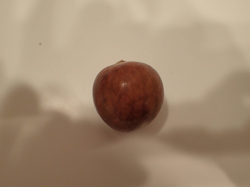 f:id:ziyukenkyu_Lab:20200606151948j:plain f:id:ziyukenkyu_Lab:20200606151948j:plain