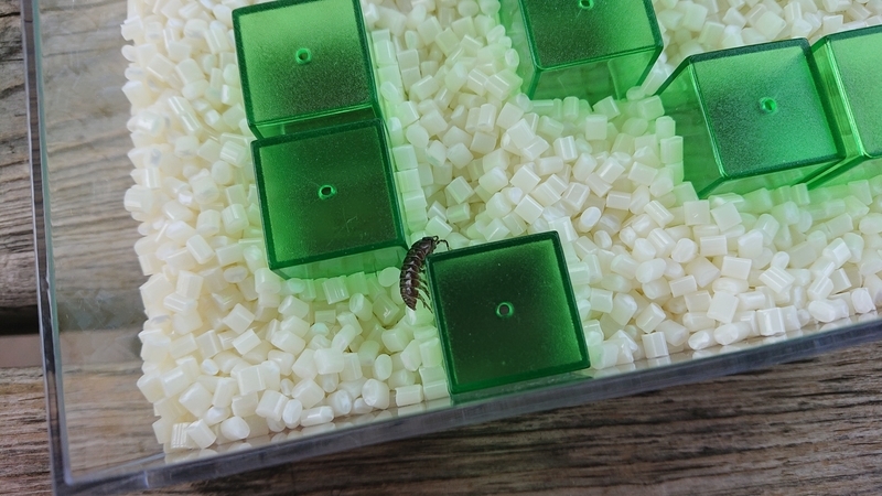f:id:ziyukenkyu_Lab:20200608152721j:plain f:id:ziyukenkyu_Lab:20200608152721j:plain