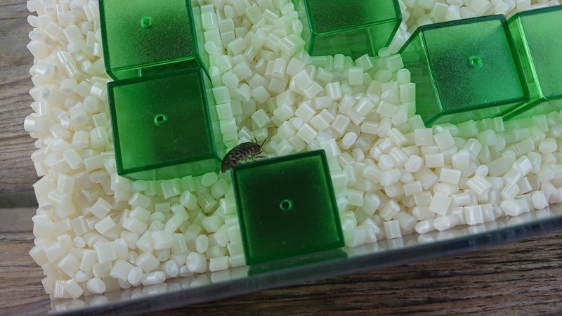 f:id:ziyukenkyu_Lab:20200608152739j:plain f:id:ziyukenkyu_Lab:20200608152739j:plain