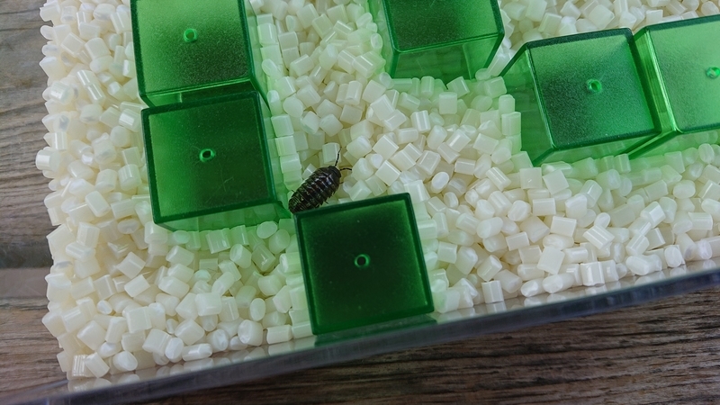 f:id:ziyukenkyu_Lab:20200608152759j:plain f:id:ziyukenkyu_Lab:20200608152759j:plain