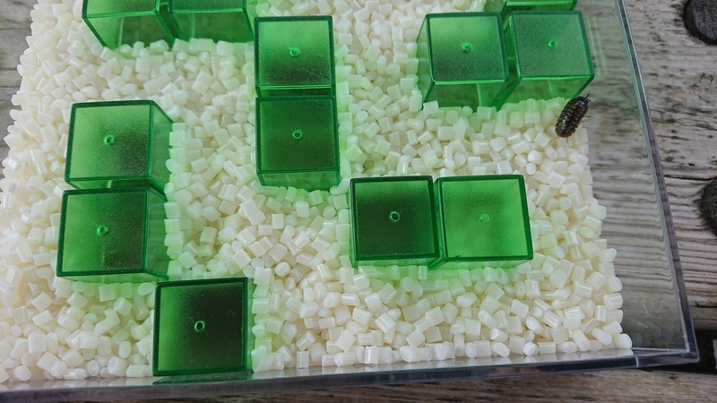 f:id:ziyukenkyu_Lab:20200608152816j:plain f:id:ziyukenkyu_Lab:20200608152816j:plain