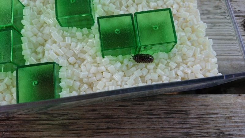 f:id:ziyukenkyu_Lab:20200608152833j:plain f:id:ziyukenkyu_Lab:20200608152833j:plain