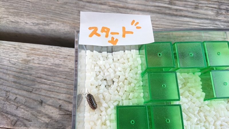 f:id:ziyukenkyu_Lab:20200608152849j:plain f:id:ziyukenkyu_Lab:20200608152849j:plain