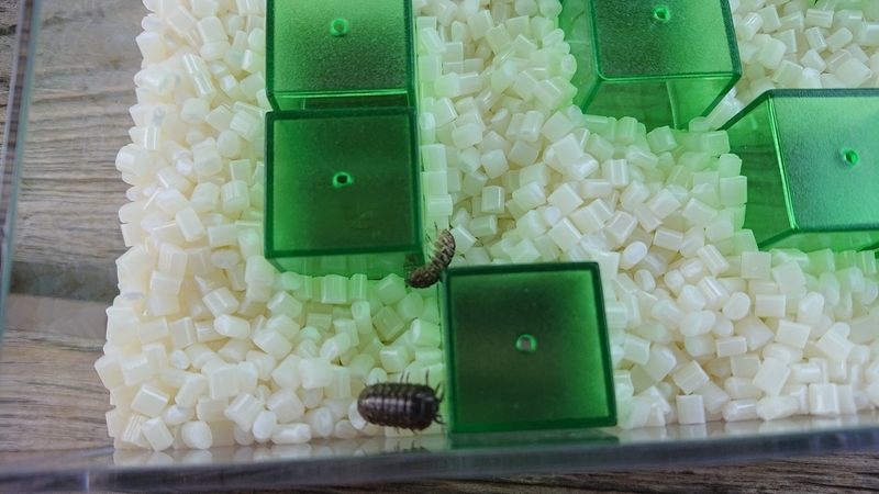 f:id:ziyukenkyu_Lab:20200608152927j:plain f:id:ziyukenkyu_Lab:20200608152927j:plain