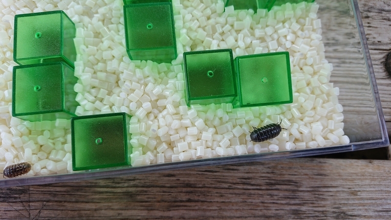f:id:ziyukenkyu_Lab:20200608152944j:plain f:id:ziyukenkyu_Lab:20200608152944j:plain