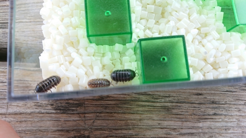 f:id:ziyukenkyu_Lab:20200608153001j:plain f:id:ziyukenkyu_Lab:20200608153001j:plain