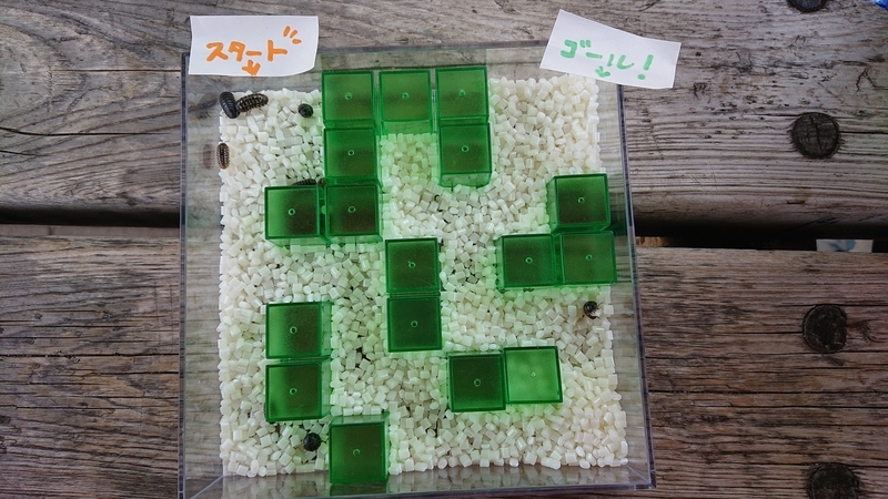 f:id:ziyukenkyu_Lab:20200608153021j:plain f:id:ziyukenkyu_Lab:20200608153021j:plain
