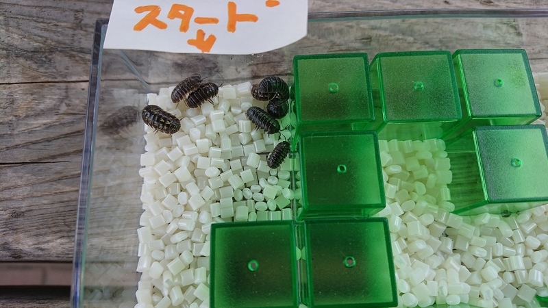 f:id:ziyukenkyu_Lab:20200608153035j:plain f:id:ziyukenkyu_Lab:20200608153035j:plain