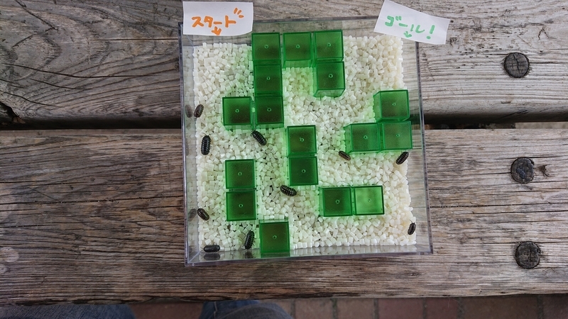 f:id:ziyukenkyu_Lab:20200608153054j:plain f:id:ziyukenkyu_Lab:20200608153054j:plain