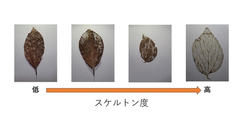 f:id:ziyukenkyu_Lab:20200625161827j:plain f:id:ziyukenkyu_Lab:20200625161827j:plain