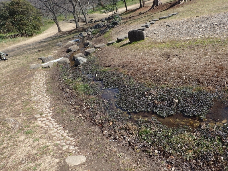 f:id:ziyukenkyu_Lab:20200625161912j:plain f:id:ziyukenkyu_Lab:20200625161912j:plain