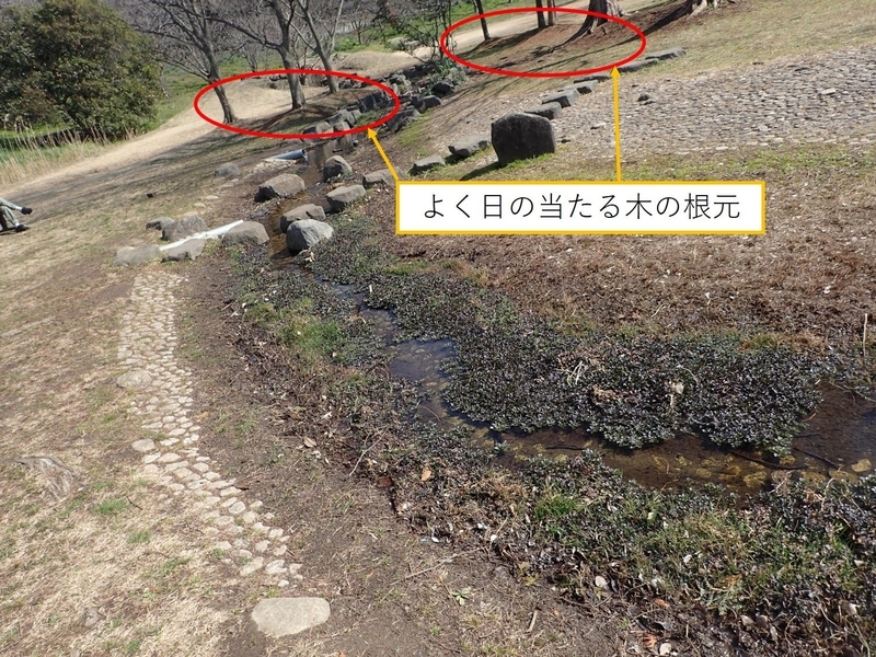 f:id:ziyukenkyu_Lab:20200627114208j:plain f:id:ziyukenkyu_Lab:20200627114208j:plain
