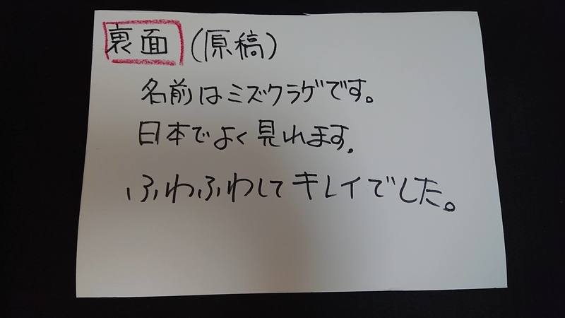 f:id:ziyukenkyu_Lab:20200630143238j:plain f:id:ziyukenkyu_Lab:20200630143238j:plain