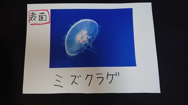 f:id:ziyukenkyu_Lab:20200630143314j:plain f:id:ziyukenkyu_Lab:20200630143314j:plain