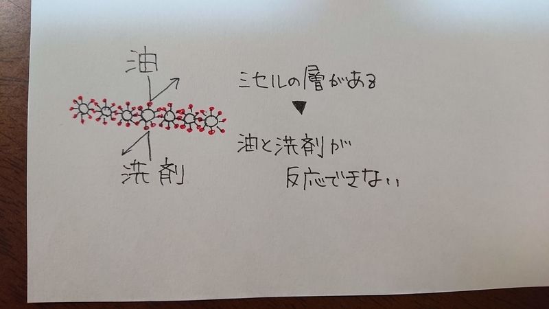 f:id:ziyukenkyu_Lab:20200704212519j:plain f:id:ziyukenkyu_Lab:20200704212519j:plain