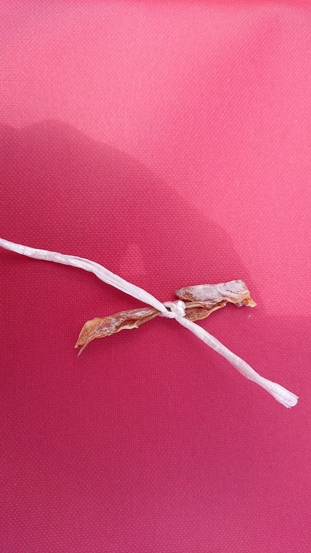 f:id:ziyukenkyu_Lab:20200705104804j:plain f:id:ziyukenkyu_Lab:20200705104804j:plain