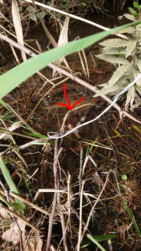 f:id:ziyukenkyu_Lab:20200705105044p:plain f:id:ziyukenkyu_Lab:20200705105044p:plain
